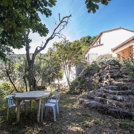 Bas De Villa Au Milieu Des Oliviers. Chateauneuf-Villevieille 外观 照片